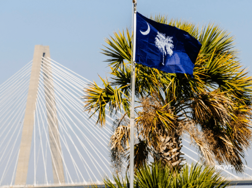 Picture of the South Carolina state flag and palm tree in front of the Arthur Ravenel Jr. Bridge. Image is being used for a Newswire blog post about the top media outlets in South Carolina