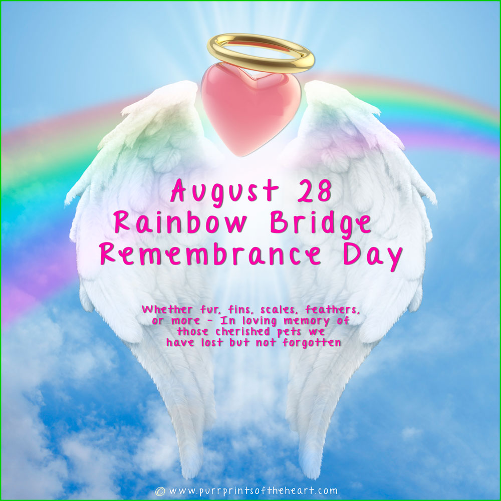 August 28 - Rainbow Bridge Remembrance Day Created to Honor Memories of